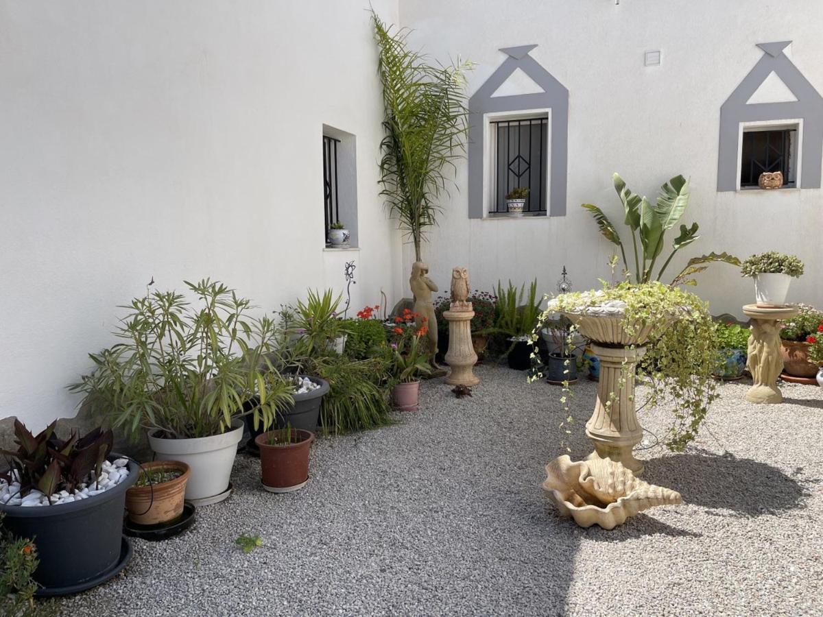 Exceptional Rico's Country Retreat Almendricos Apartment *